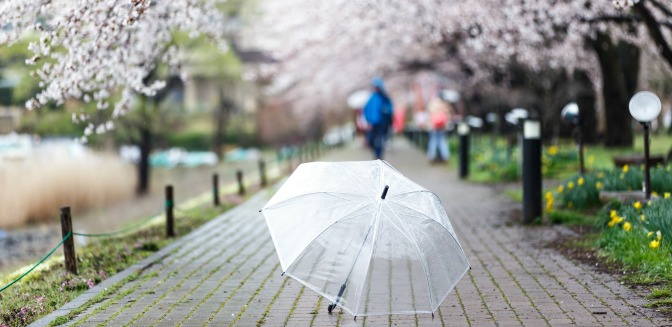 Umbrella in the middle of a rainy path