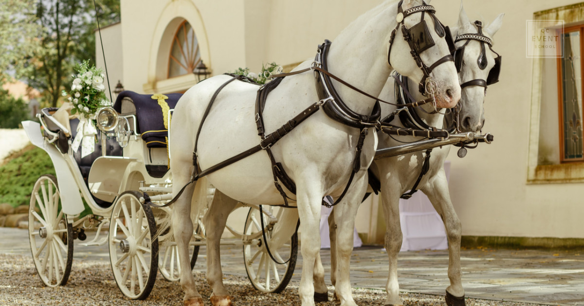Offbeat event planner niche vendors and niche event businesses include horse carriage